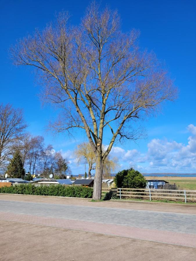 Hotel Ostseecamping Am Salzhaff Pepelow Exterior foto